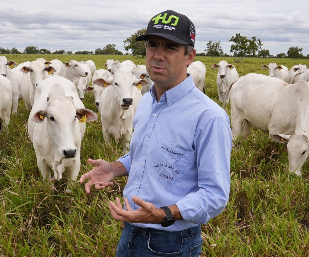 por cada tonelada de C02 que emite el ganado, captura tres toneladas en el suelo.