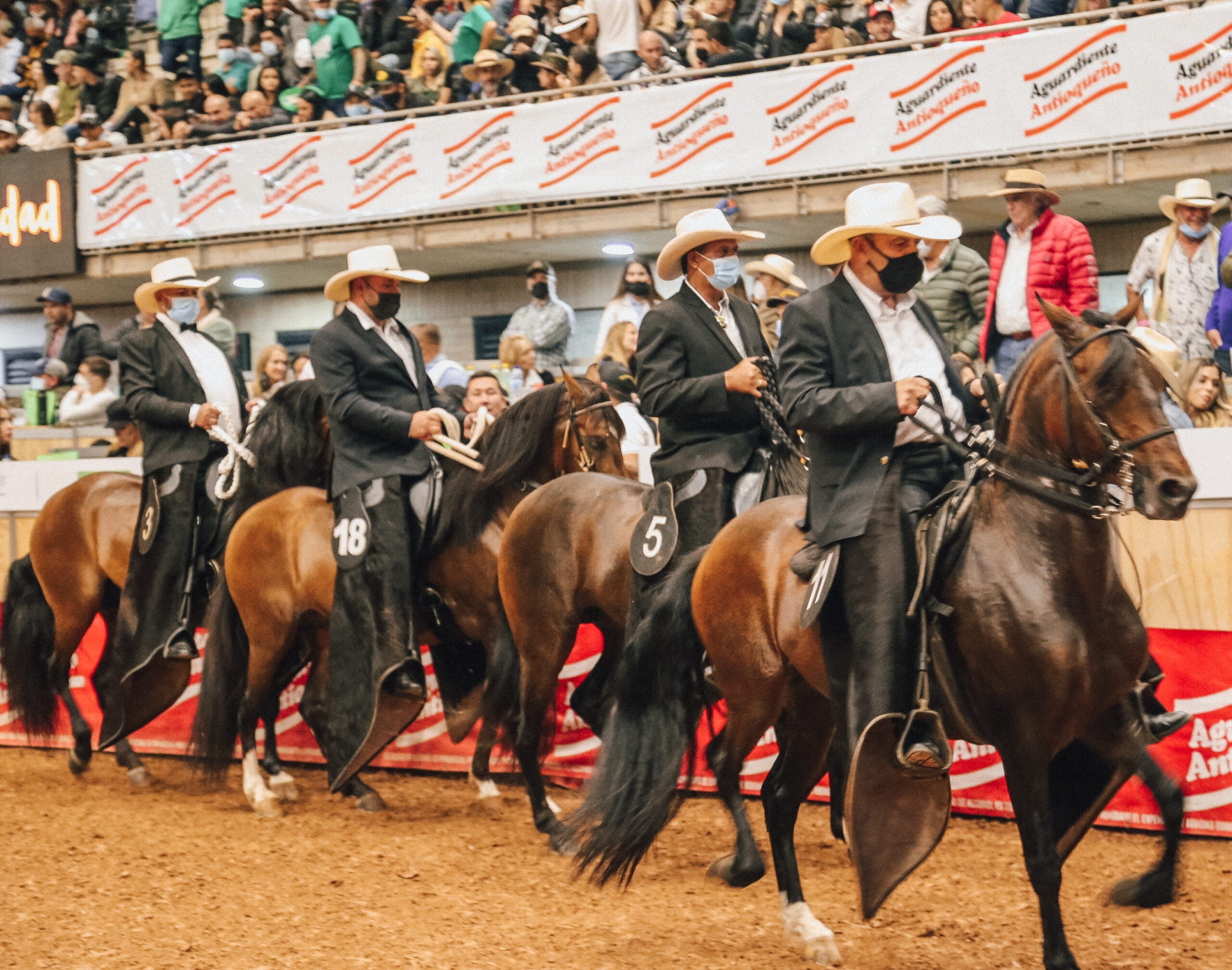 Encuentre Todos Los Eventos Del Agro Colombiano | Agronegocios.co