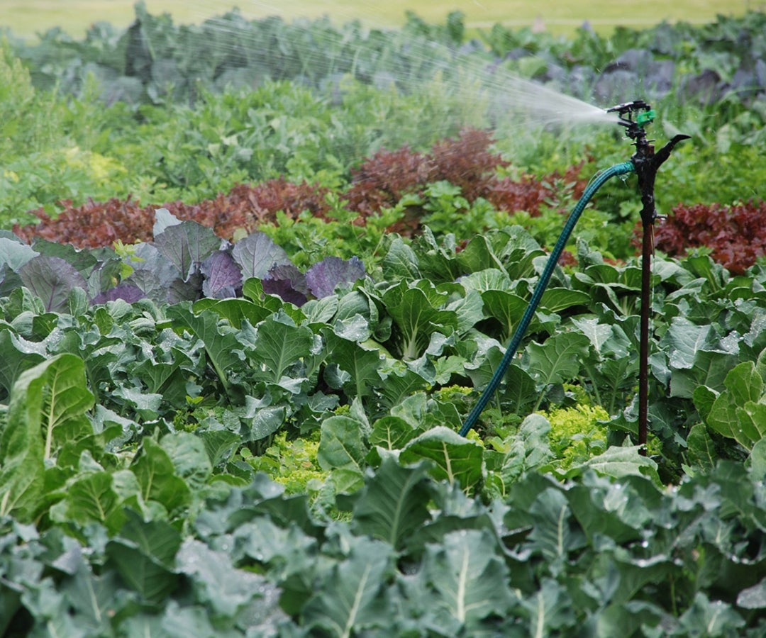 Sistema de riego con energía solar-Unimedios