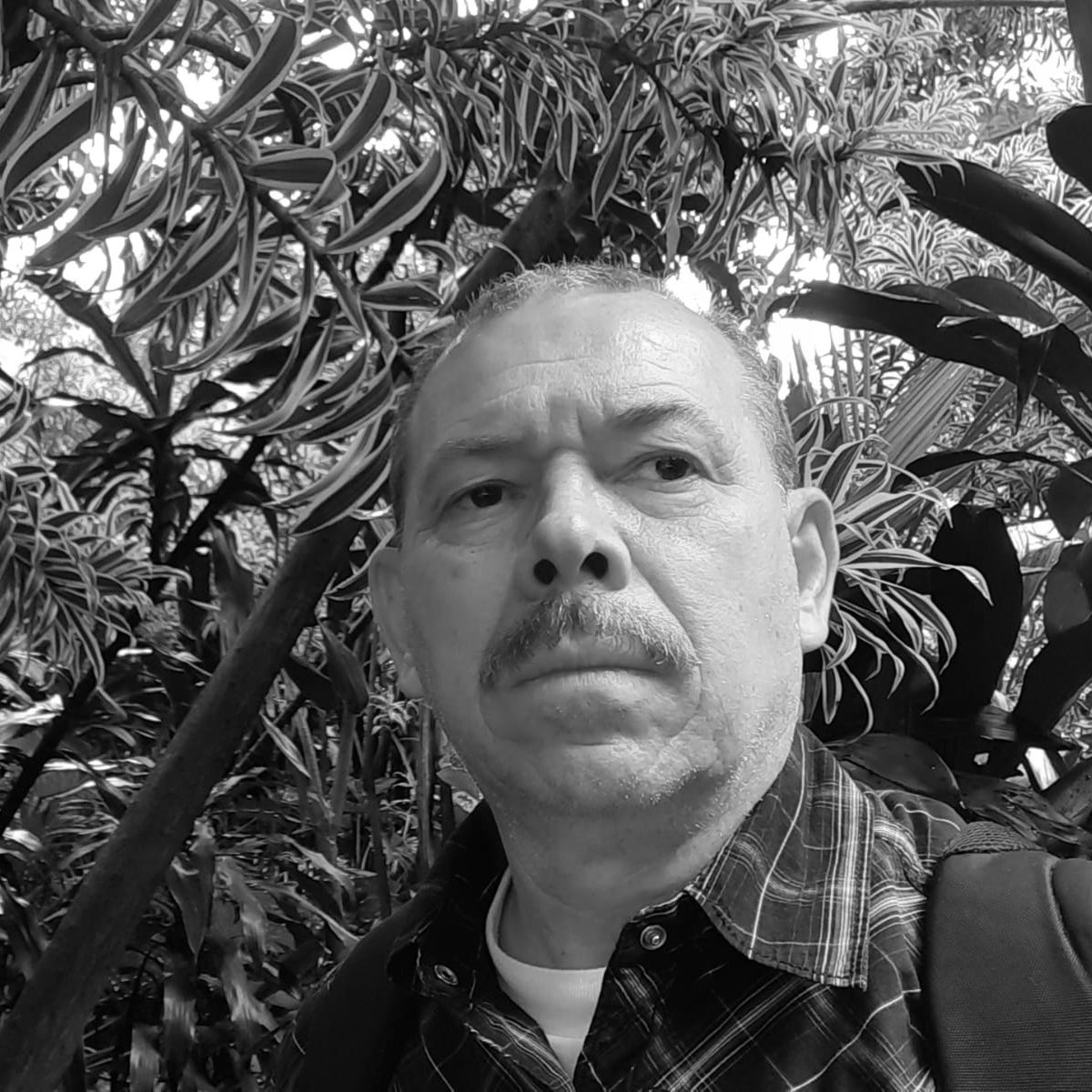 John Gonzalo Ramírez Velásquez coordinador Investigación y Desarrollo.