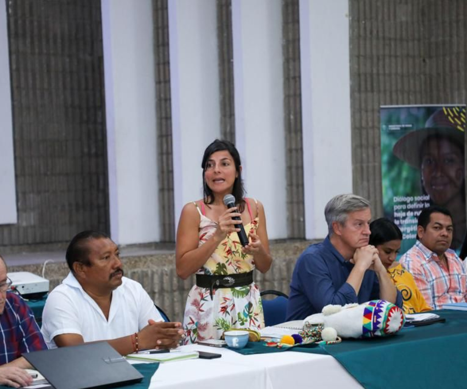 Irene Vélez, ministra de Ambiente
