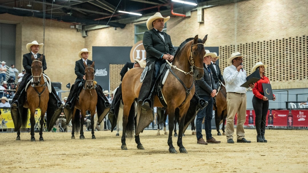 Edición 39 de la Feria Nacional Equina - Fedequinas Edición 39 de la Feria Nacional Equina - Fedequinas