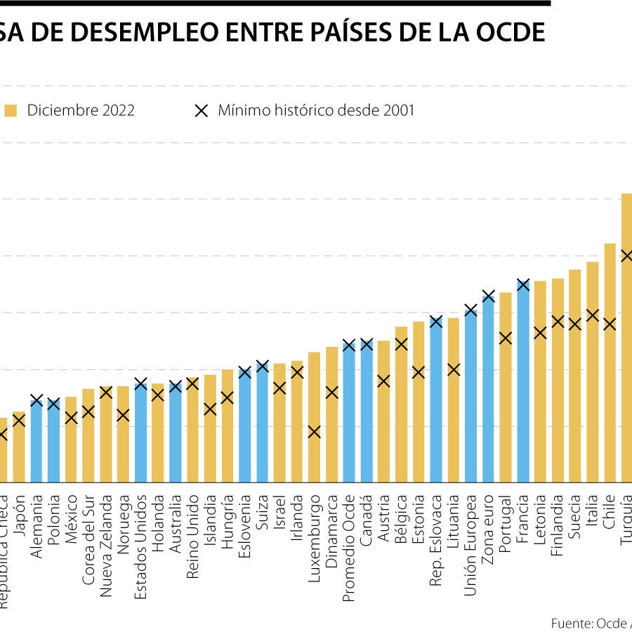 Tasa de desempleo de la Ocde cerró 2022 en 4,9% con 33,9 millones de ...