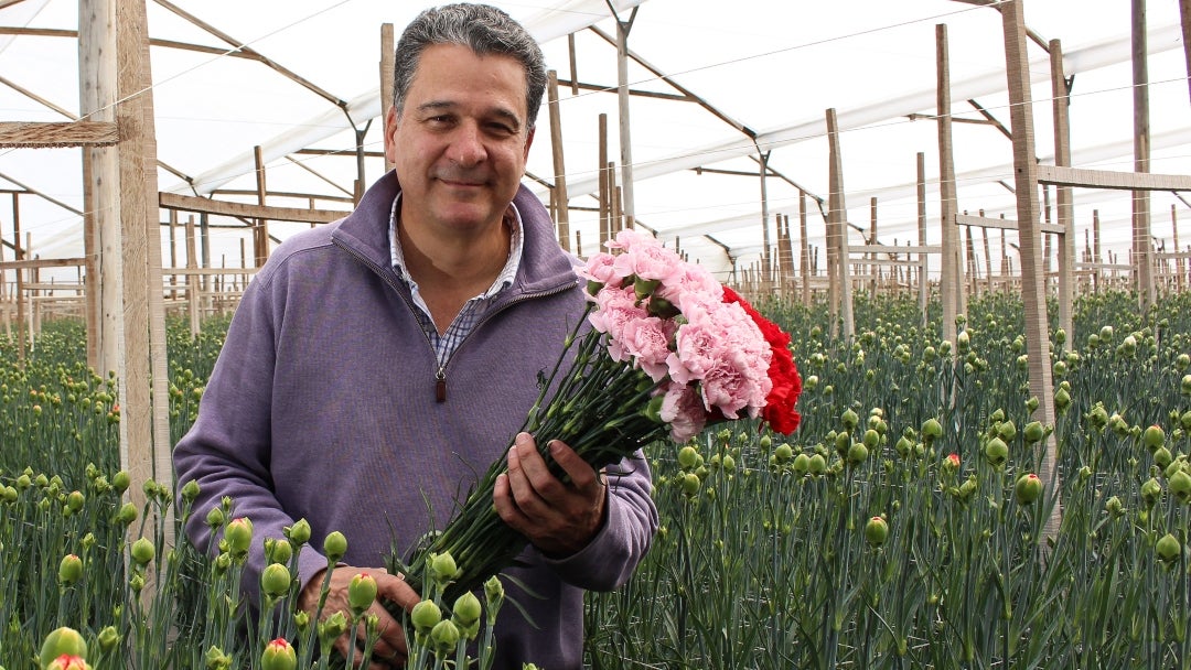 José Antonio Restrepo - flores Ayurá