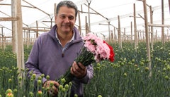 José Antonio Restrepo - flores Ayurá