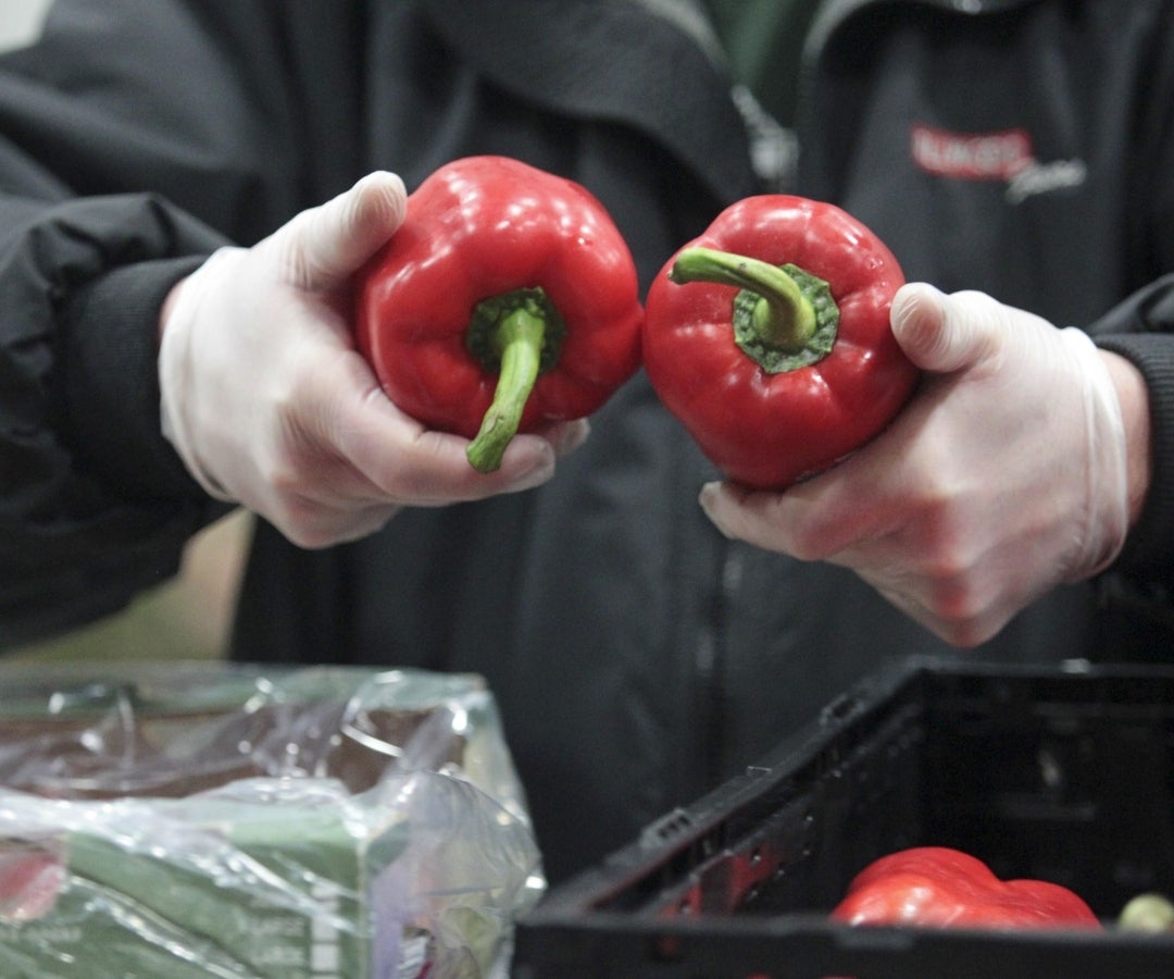 Pimentón - Bloomberg