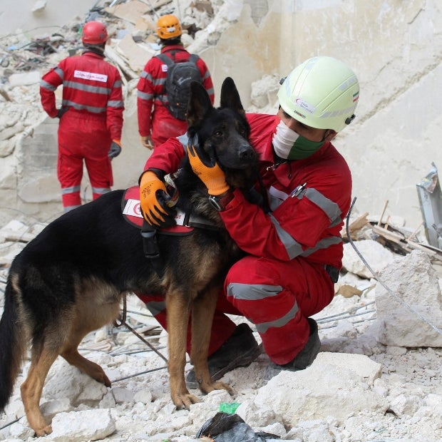 cuanto cobran los rescatadores de perros