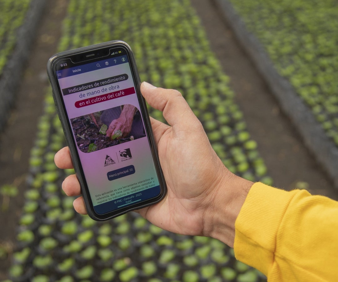 App de Indicadores de rendimiento de mano de obra del cultivo de café