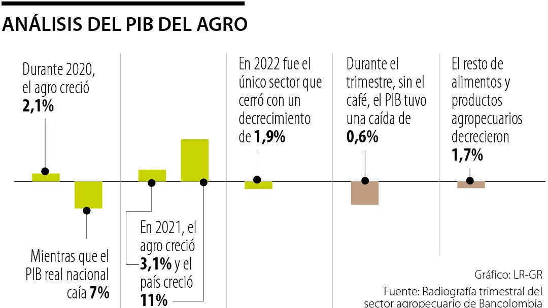 Análisis del PIB del agro en el cuarto trimestre de 2022