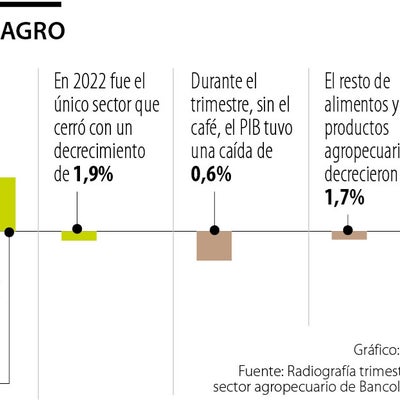 El agro fue el único sector que cerró el cuarto trimestre de 2022 en ...