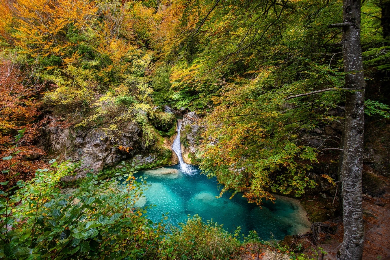 Urbasa- Andía, España