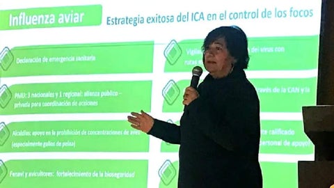 María del Pilar Ruiz - ICA