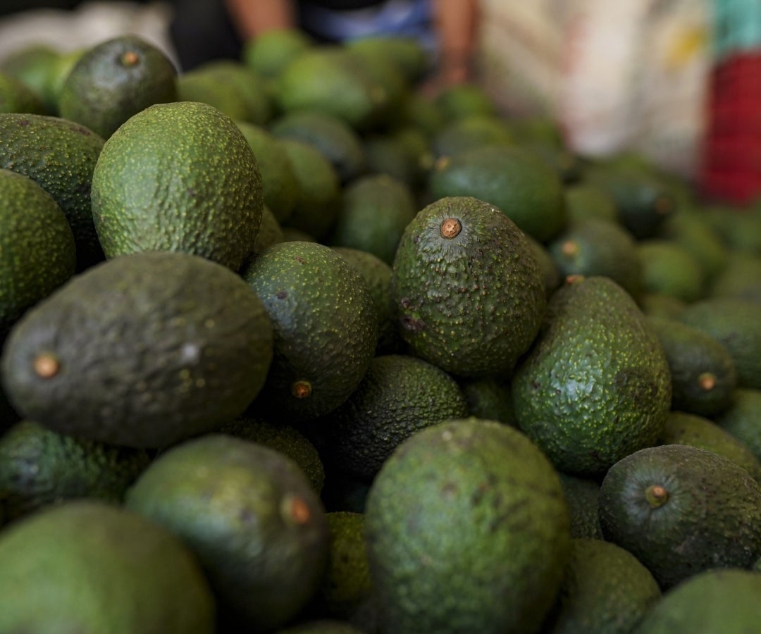 Aguacate hass - Blooomberg