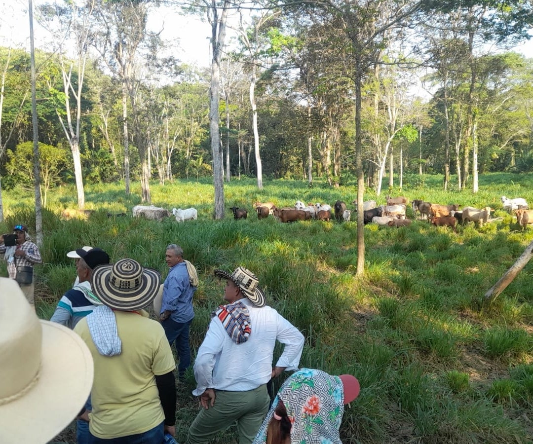 Gira técnica - Mas bosques (9)