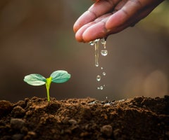 173967437_xl_normal_none (1)