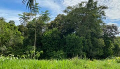 Bosques - Programa Colombia Sostenible
