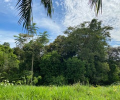 Bosques - Programa Colombia Sostenible Bosques - Programa Colombia Sostenible