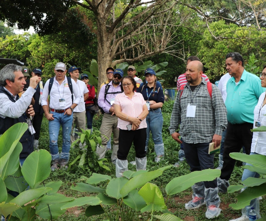 Proyecto Biocarbono 2023