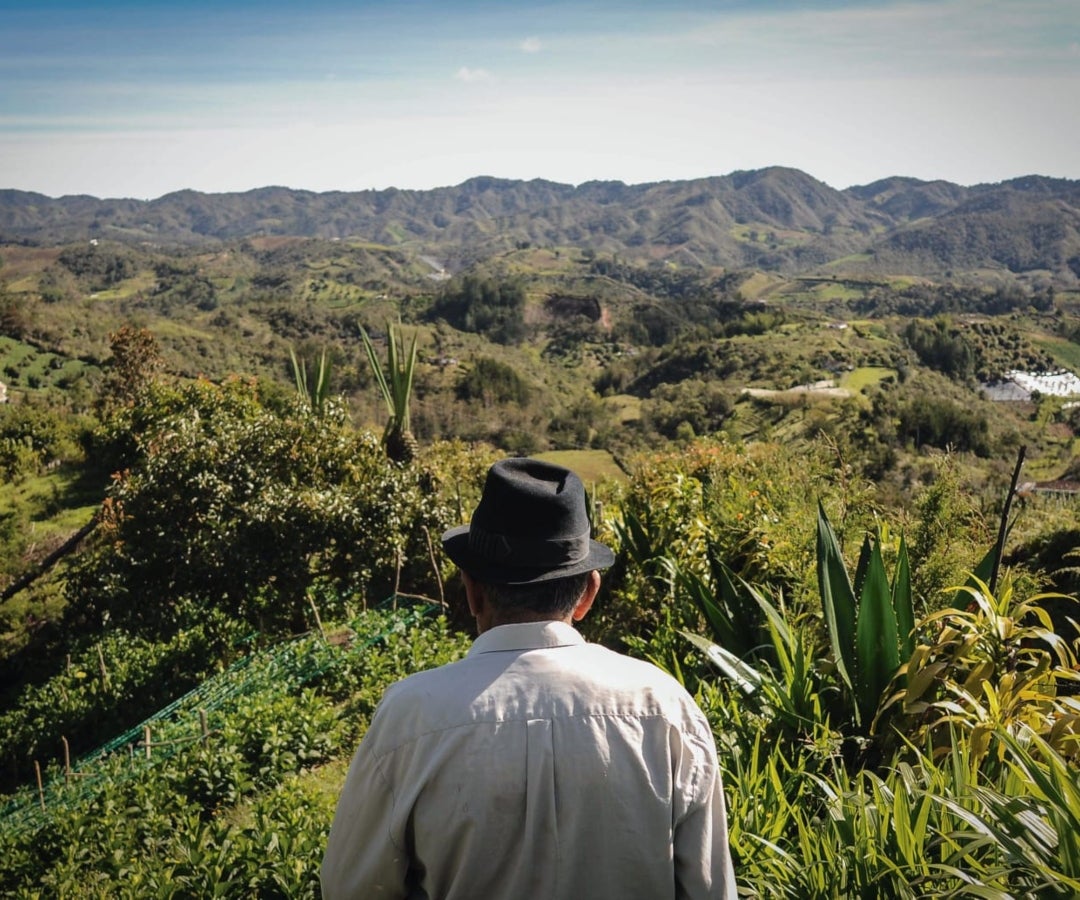 Imagen de Ministerio de Agricultura y Desarrollo Rural.