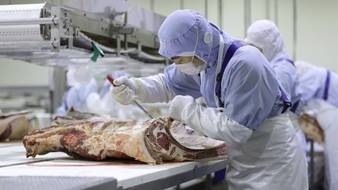 Revisión de carnes, Bloomberg.