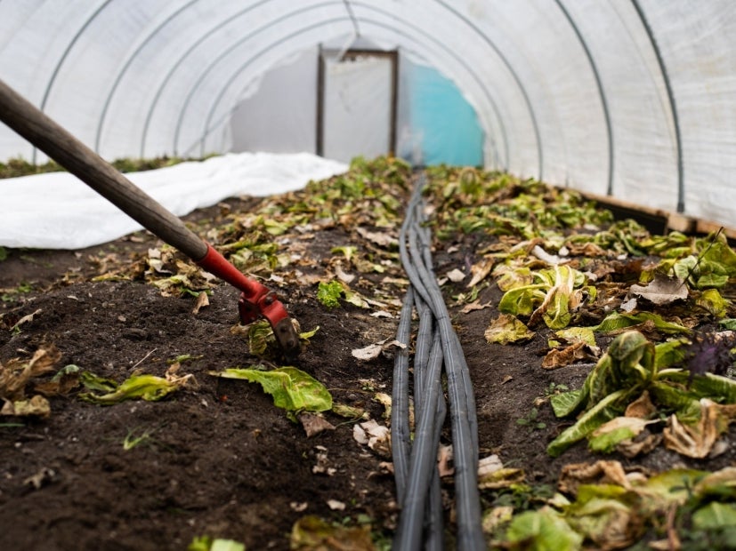 usos de los fertilizantes organicos