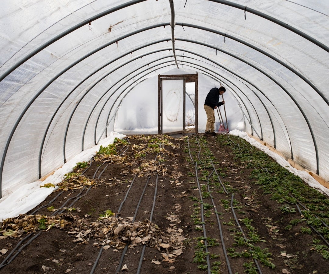 Agricultor - Imagen de Bloomberg.