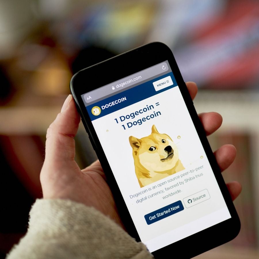 Kabosu, perro Shiba Inu, imagen de la criptomoneda Dogecoin, murió a ...