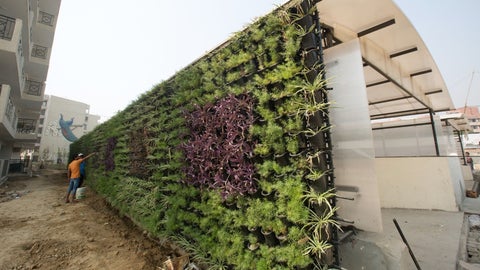Jardines verticales - Bloomberg