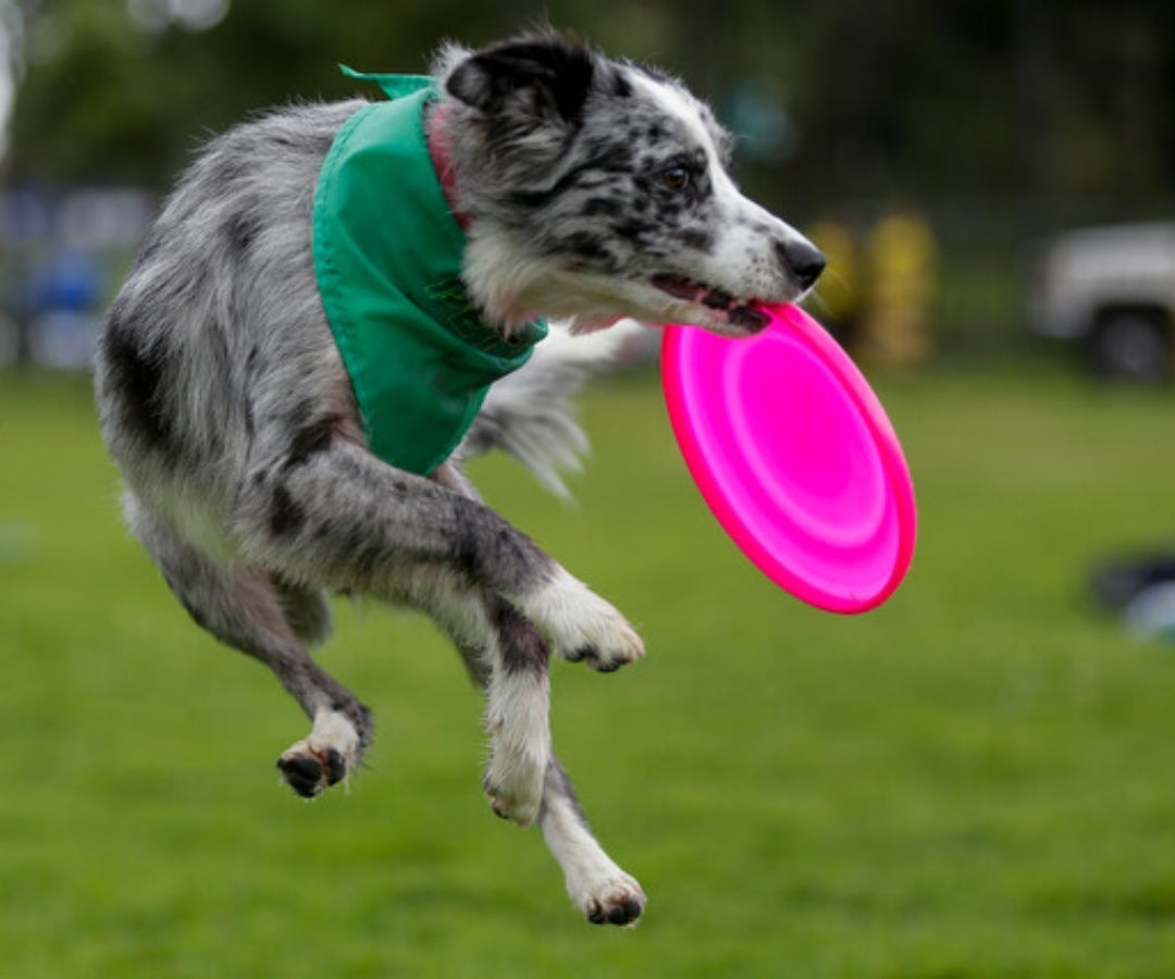 La jornada será en Uniagraria entre 10:00 a.m. y 2:00 p.m.
