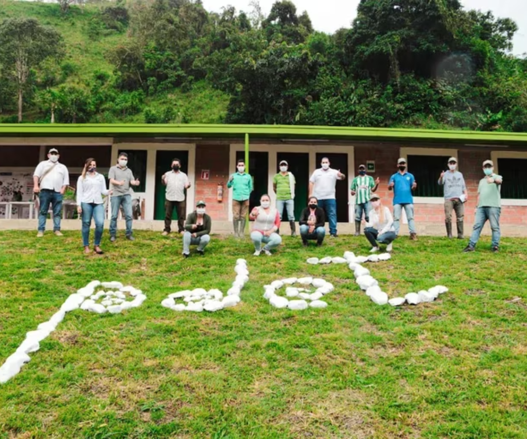 Ocad Paz aprobó proyectos por $163.000 millones para zonas afectada por ...