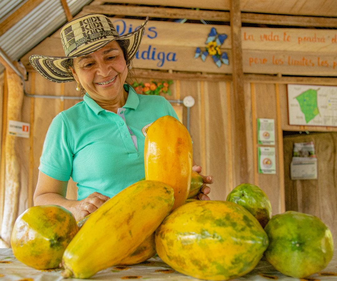 Productores de papaya - ADR