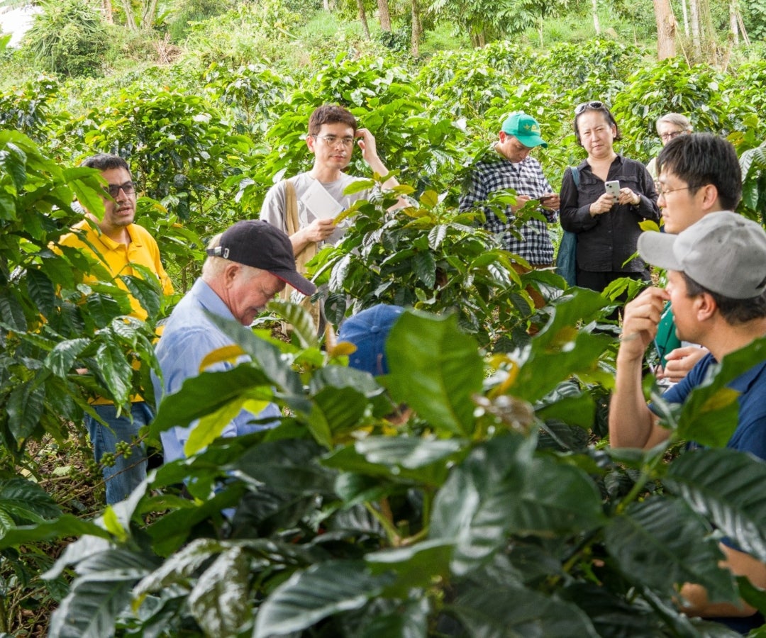 Imagen de MinAgricultura