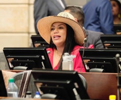 Martha Peralta, senadora