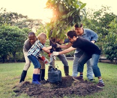 79899857_xl_normal_none (1)