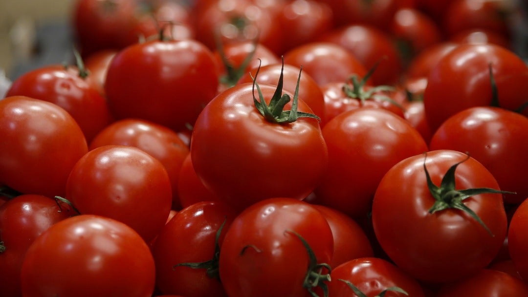 Tomate, cebolla y arracacha, alimentos que más subieron de precio en agosto