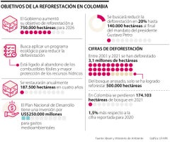 especial_reforestacion_colombia_p4_1080