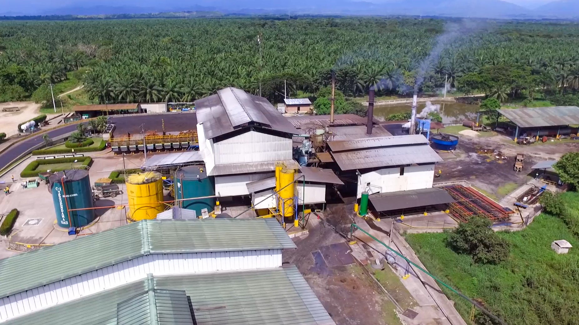 Tequendama tiene un sistema de producción responsable y orgánica implementado y acreditado desde 1994 para 3.800 hectáreas de palma.