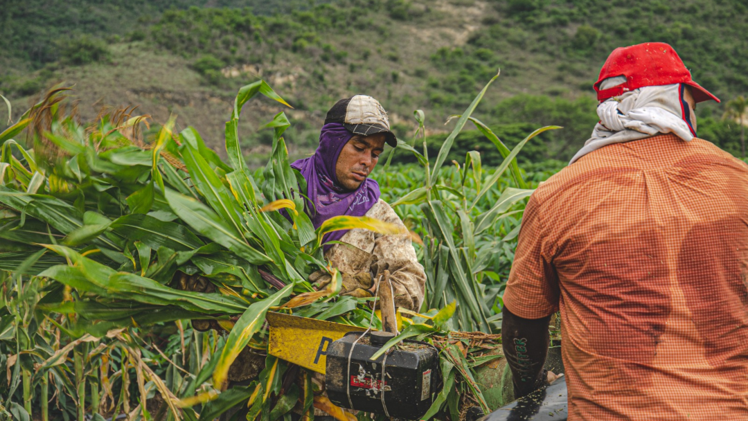 Imagen de Banco Agrario y Cardif