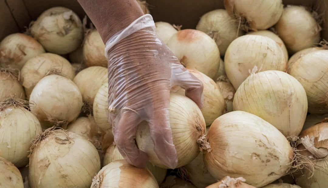 Cebolla blanca - Bloomberg