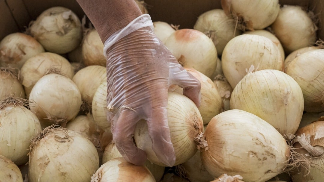 Cebolla blanca - Bloomberg