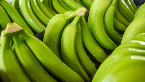 Banano verde. Foto: Greenland