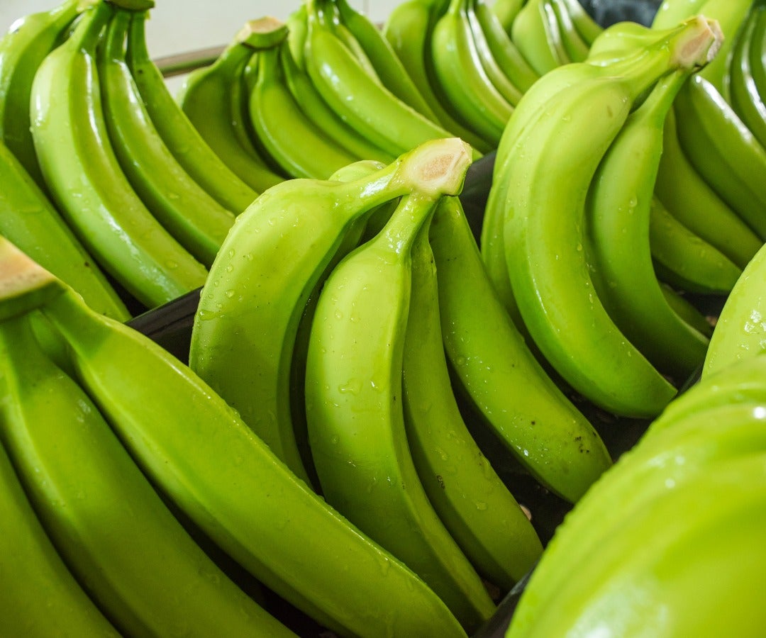 Banano verde. Foto: Greenland