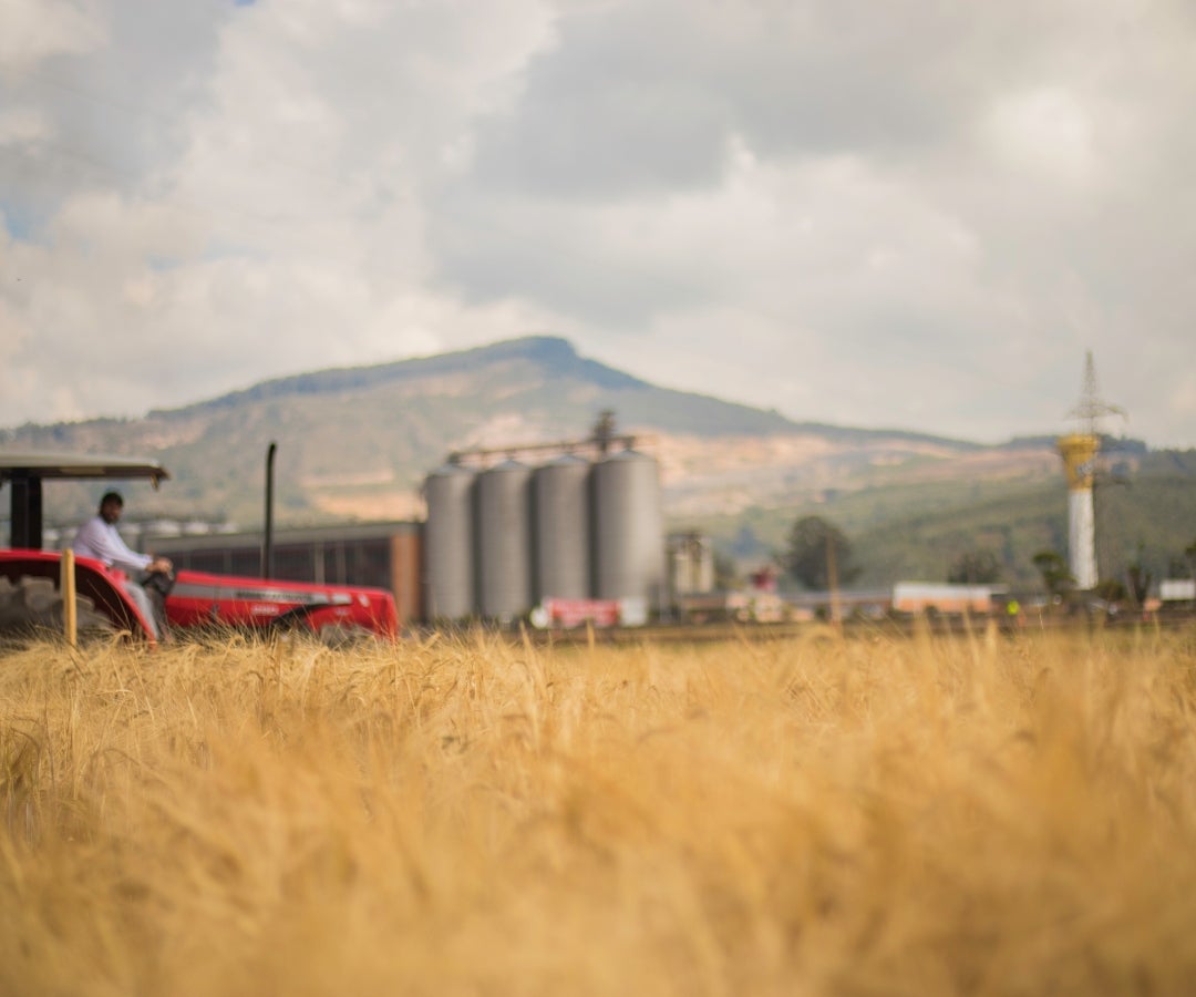 Proyecto Bavaria Siembra. Foto: Bavaria