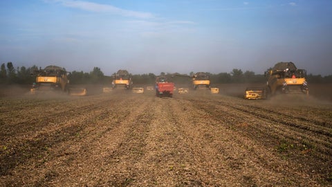 Cultivo de soja afectado en Estados Unidos. Foto: Bloomberg