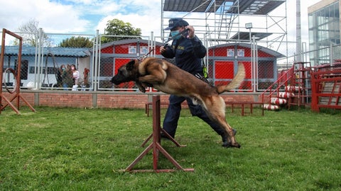 Entrenador de perros. Foto: Colprensa