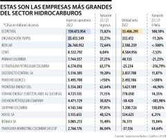 Empresas más grandes del sector hidrocarburos
