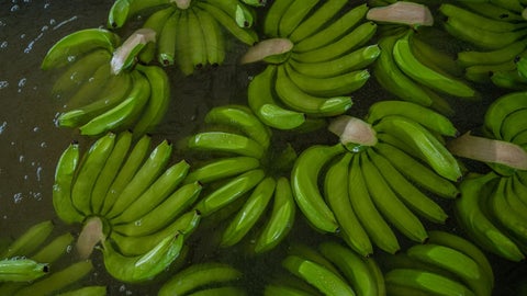 Comercialización de banano
