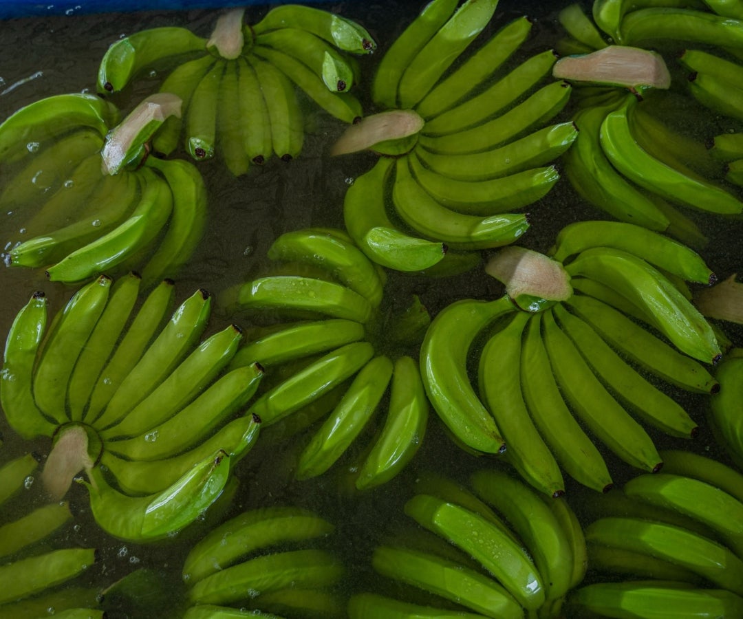 Comercialización de banano