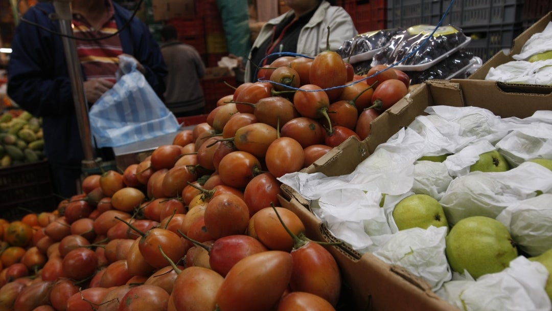 Comercialización de tomate de árbol