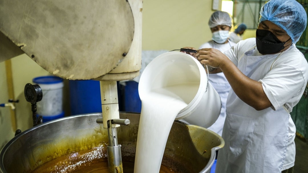 Planta de producción de leche